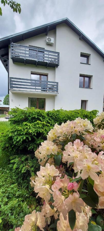 Apartamenty Montania Wisła Kültér fotó